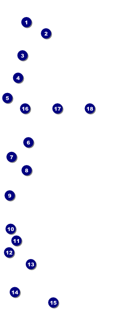 Women's Expo Abstract VIP Pass Front Field Markers