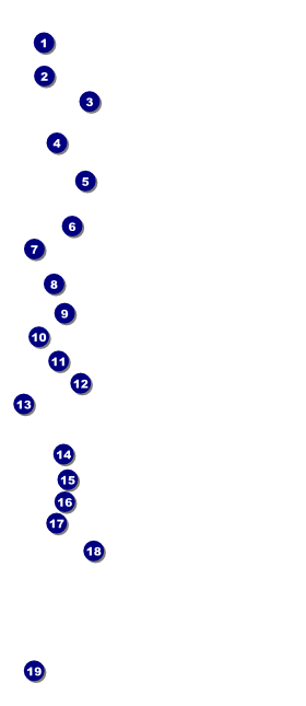 Paper Christmas Tree Red VIP Pass Front Field Markers