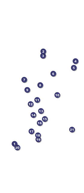 Minneapolis VIP Pass Front Field Markers