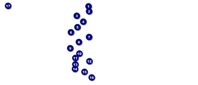 Irish VIP Pass Front Field Markers