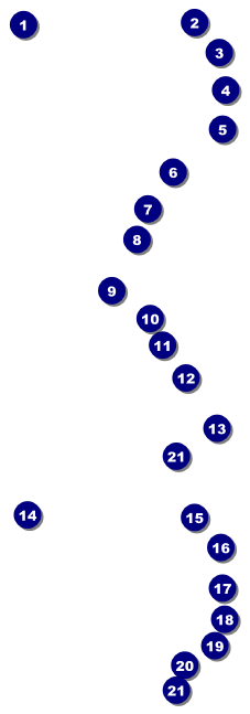 Boxing Gloves Event Ticket Front Field Markers