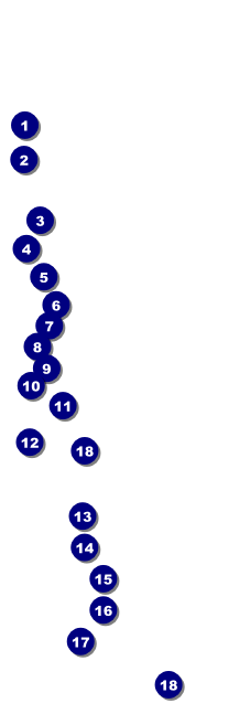 Soccer Stadium Raffle Ticket Front Field Markers