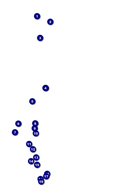 Lacrosse Poster Front Field Markers