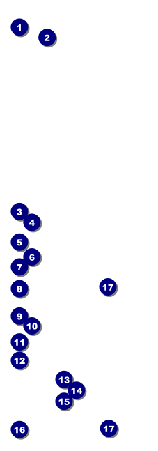 Zodiac Event Ticket Front Field Markers