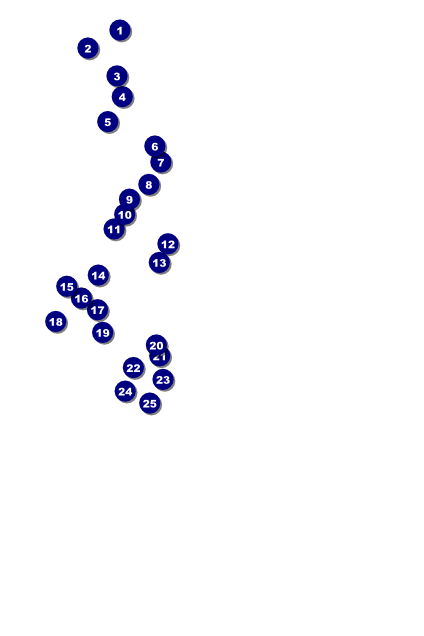 Fiesta Poster Front Field Markers