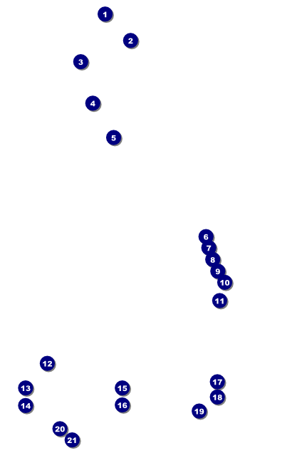 Dress Poster Front Field Markers