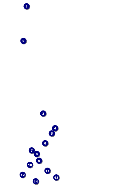 Indian Music Poster Front Field Markers