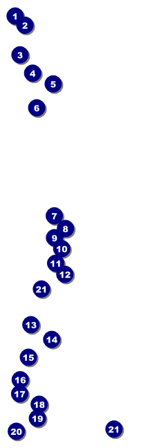Cityscape Event Ticket Front Field Markers