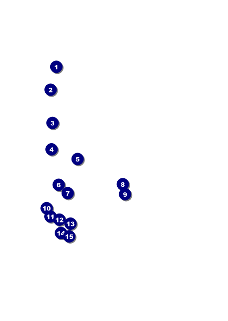 Cooking School Postcard Front Field Markers