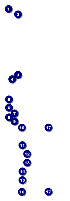 Science Fair Raffle Ticket Front Field Markers