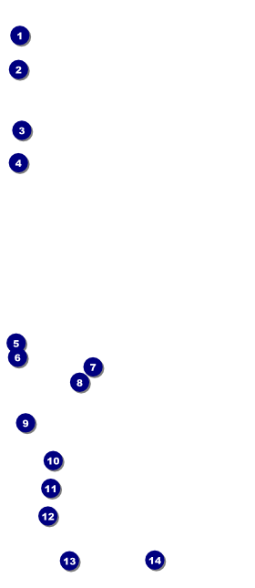 Skateboarding VIP Pass Front Field Markers