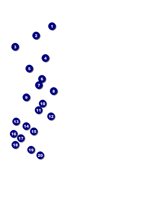 Dallas Club Flyer Front Field Markers