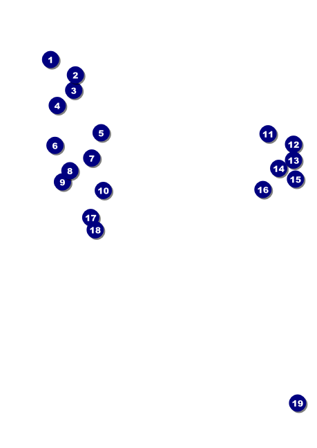 Arizona Club Flyer Front Field Markers
