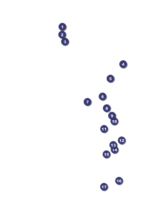 Utah Club Flyer Front Field Markers
