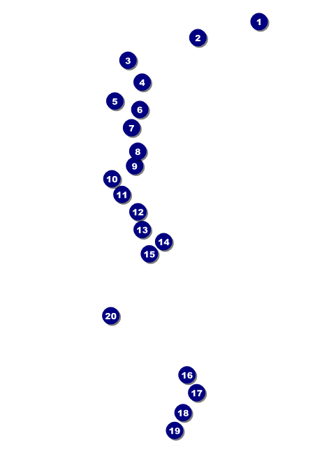 Martin Luther King Club Flyer Front Field Markers