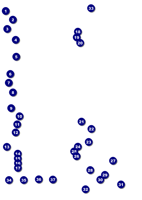 Run for a Cause Blue & Green Club Flyer Front Field Markers