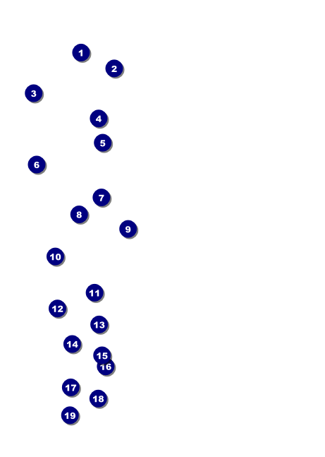 BBQ Vintage Club Flyer Front Field Markers