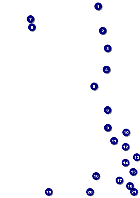 Modern Rodeo Club Flyer Front Field Markers