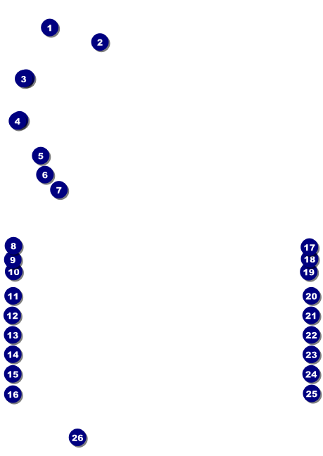 Basketball Court Club Flyer Front Field Markers