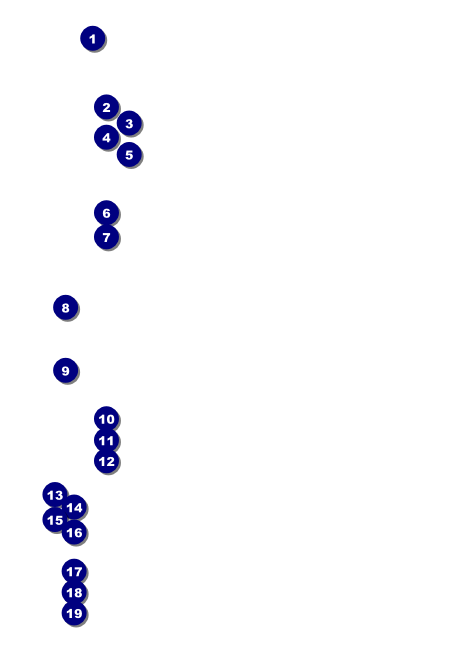 Rochester Club Flyer Front Field Markers