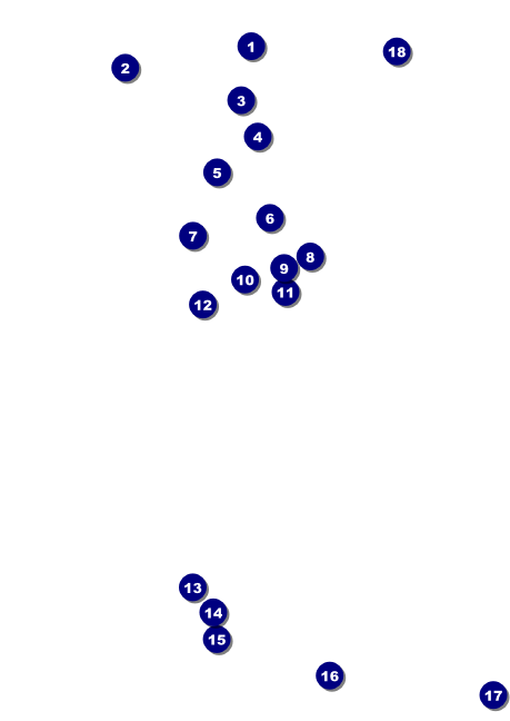 Sacramento Club Flyer Front Field Markers