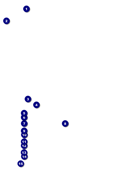 Curling Club Flyer Front Field Markers